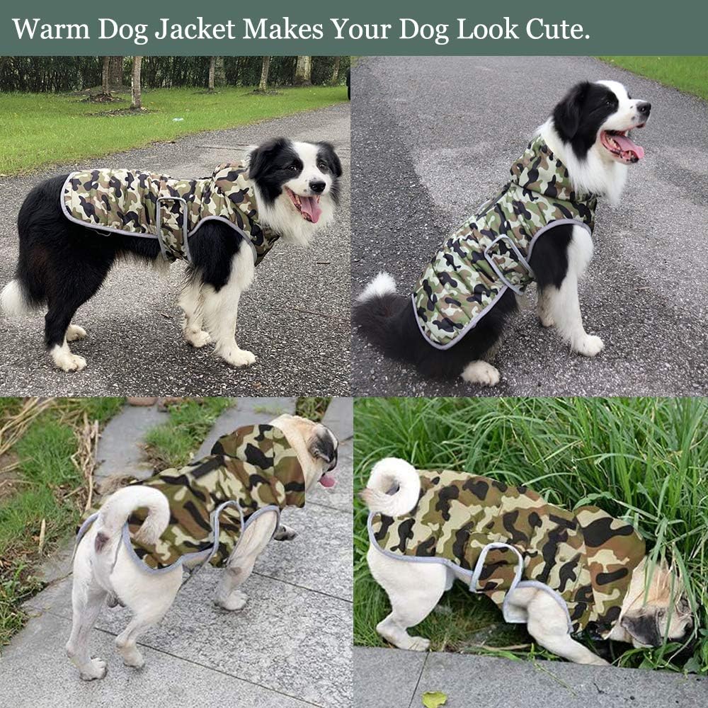 Etechydra Dog Jacket Coat with Detachable Hat - Image 3