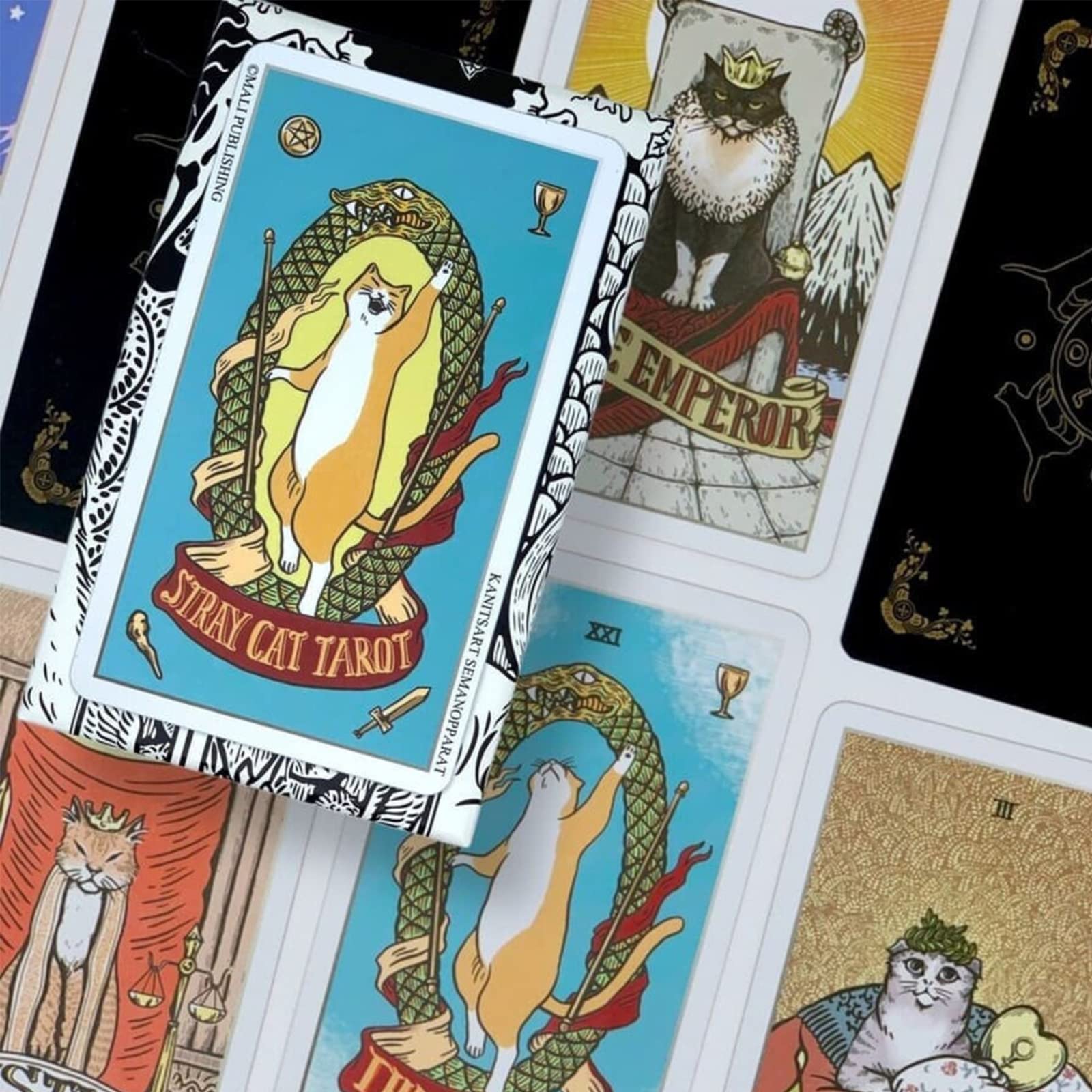 Atesswy Stray Cat Tarot - A Powerful and Cute Tarot Deck for Cat Lovers, Standard Size: 4.75