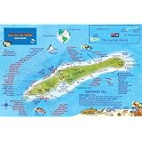 Amazon.com : Cayman Brac Island Dive Map &amp; Reef Creatures Guide ...