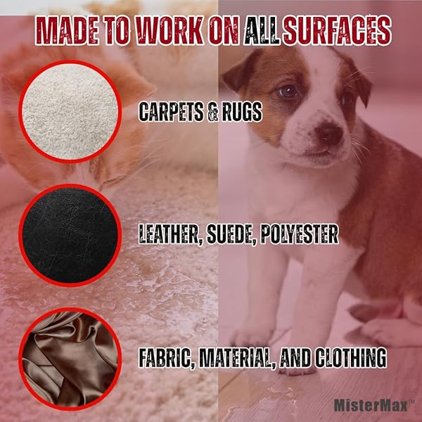 MISTER MAX ANTI ICKY POO PET URINE ENZYME CLEANER & FECES ODOR REMOVER, ENZYMATIC CLEANER FOR DOG & CAT URINE, PET ODOR REMOVER SPRAY, 1 GALLON (ORIGINAL SCENT)