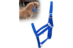 Jeffers Equine Mini Horse Halter – 3/4" Nylon Adjustable Halter for Miniature Horses, Ponies, Under 300 lbs – Heavy Duty Hardware, Secure Fit for Training, Turnout, Grooming, Travel – Royal Blue