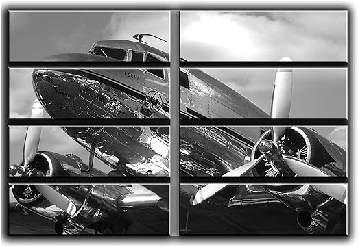 Amazon Com Absolutely Giant Huge X Large Dc 3 Airplane Wall Art