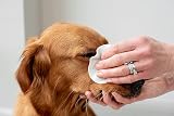 pet wiz Vet Approved 240 Extra Large Natural Eye Wipes for Dogs view 4