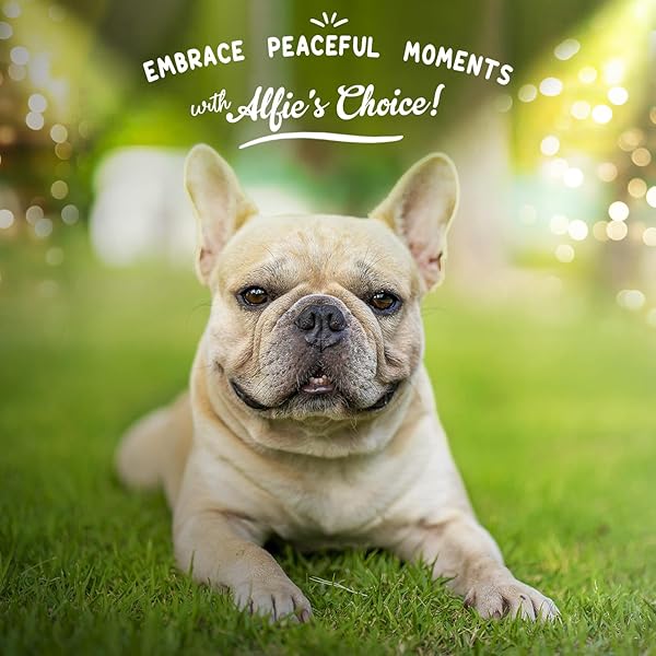 ALFIE’S CHOICE DOG CALMING CHEWS – DOG ANXIETY RELIEF STRESS & SEPARATION SUPPORT – PET HEMP CALMING CHEWS FOR DOGS ALL BREEDS – CALMING DOG TREATS SOFT CHEWS – 12 OZ, APPX 160 COUNT