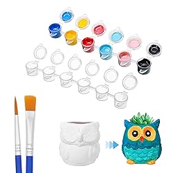 20 Strips 120 Pots Empty Paint Pots Strips With Lid