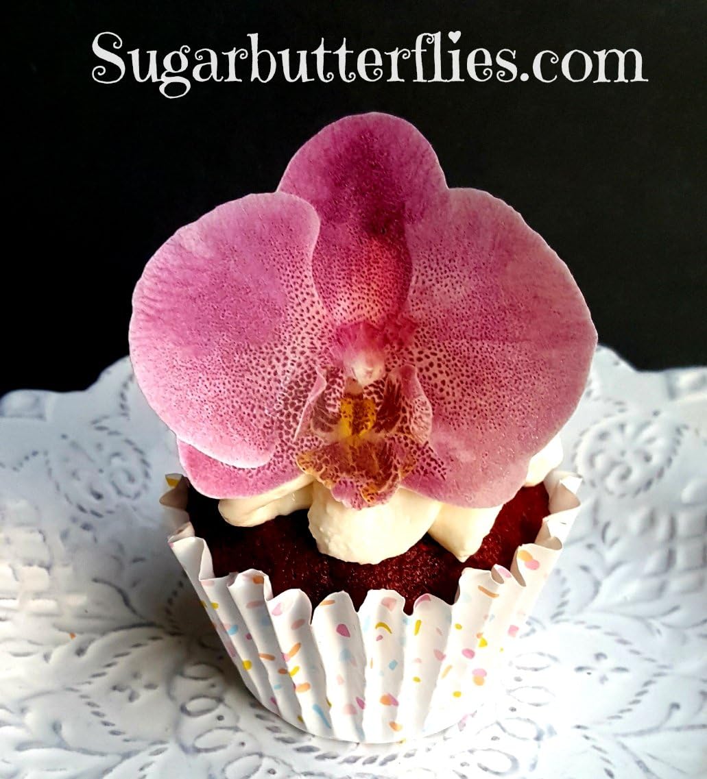 Edible Wafer Paper Pink Orchid Flat Flower Cake Decorations Cupcake Toppers Set of 12