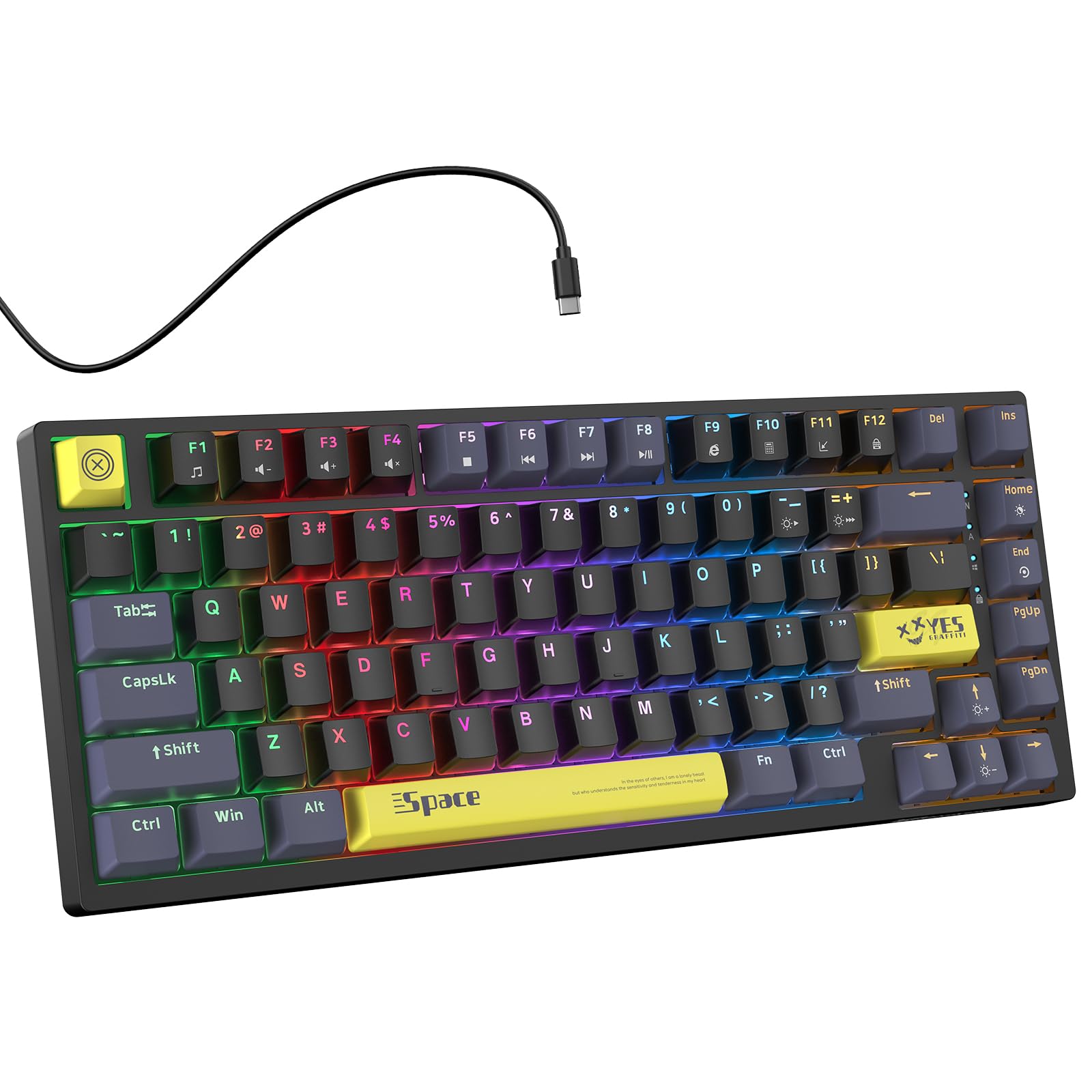 75% Mechanical Gaming Keyboard, Wired Computer Keyboard with Blue Swithes, 82 Keys Compact LED Rainbow Backlit, USB Office Keyboard for PC, Desktops, Laptop, Mac, Mixed Color Keycaps