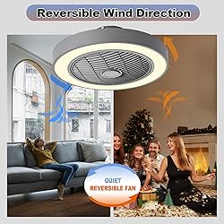 Jinweite Ceiling Fan with Light, 19 inches LED