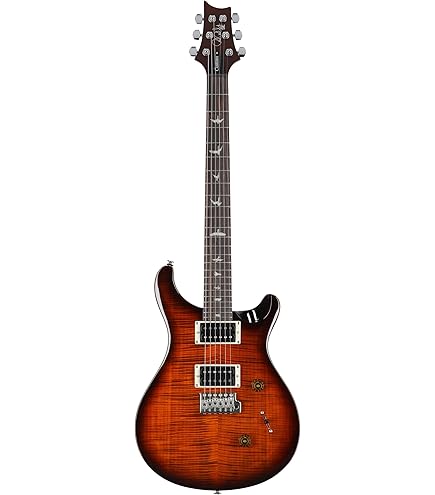 Amazon.com: PRS SE CE24 Standard Stoptail Satin, Charcoal
