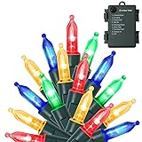 WATERGLIDE 50 LED Outdoor Christmas Lights, 16 FT