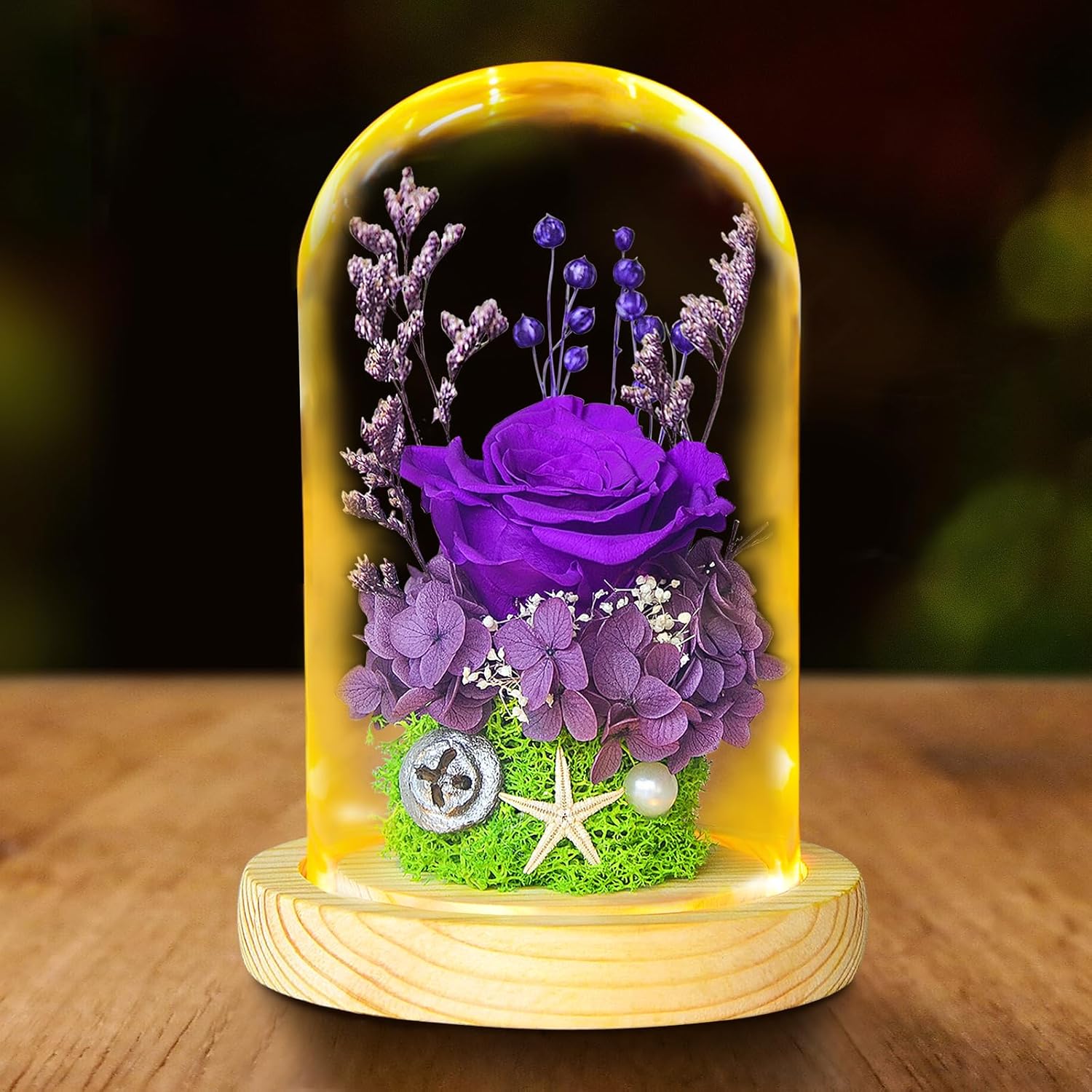 Dried & Preserved Flora - Preserved Rose Flowers Beauty and The Beast Rose Flower Gifts For Women,Eternal Rose Gifts For Her,Glass Rose Flower Gift for Mom Wife on Mother's Day Valentines Day Christmas Birthday Gifts for Women