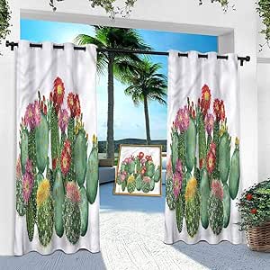 Aishare Store - Cortina de patio al aire libre, cactus, jardín tropical