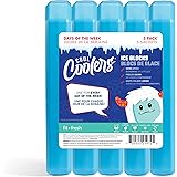 Fit & Fresh Cool Coolers, 5 Pack Days of the Week Ice Blocks, Compact & Reusable Ice Packs for Lunch Boxes & Coolers, Blue