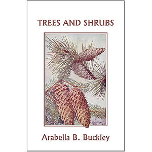 Birds Of The Air Yesterdays Classics Eyes And No Eyes - 