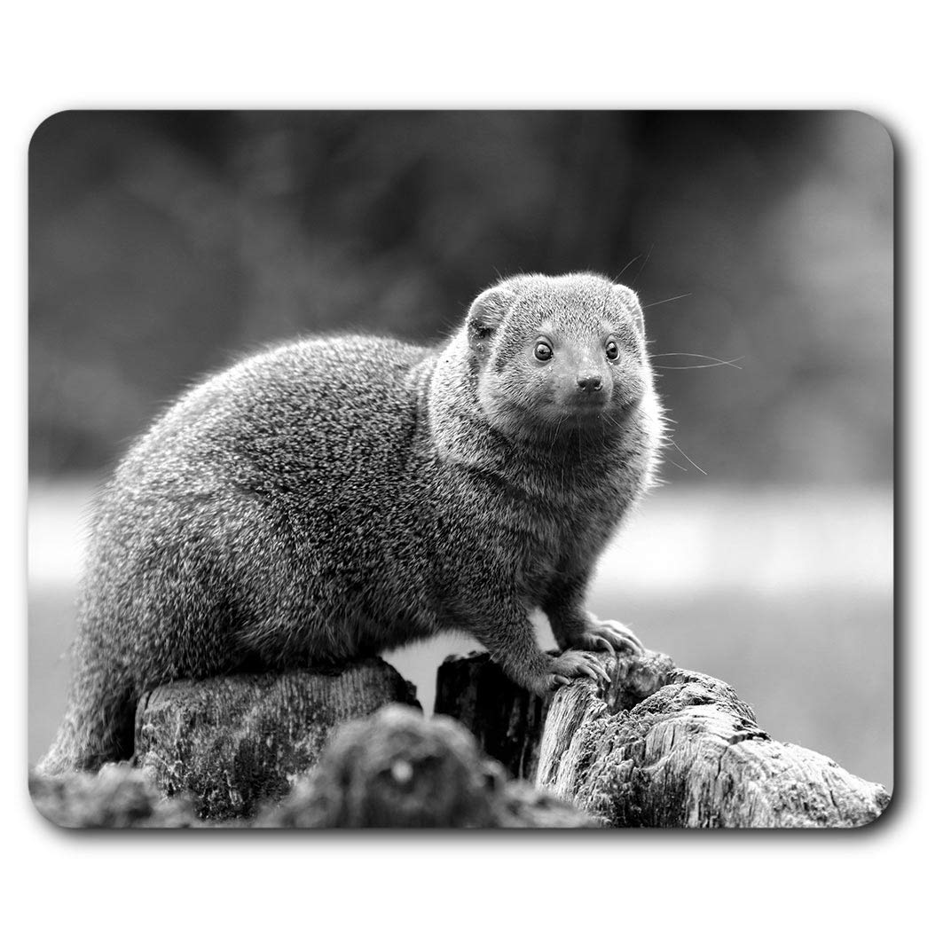 Funny Mongoose Animal Mouse Mat Pad Computer PC Laptop Gaming Office Home Desk Accessory Gadget #37728