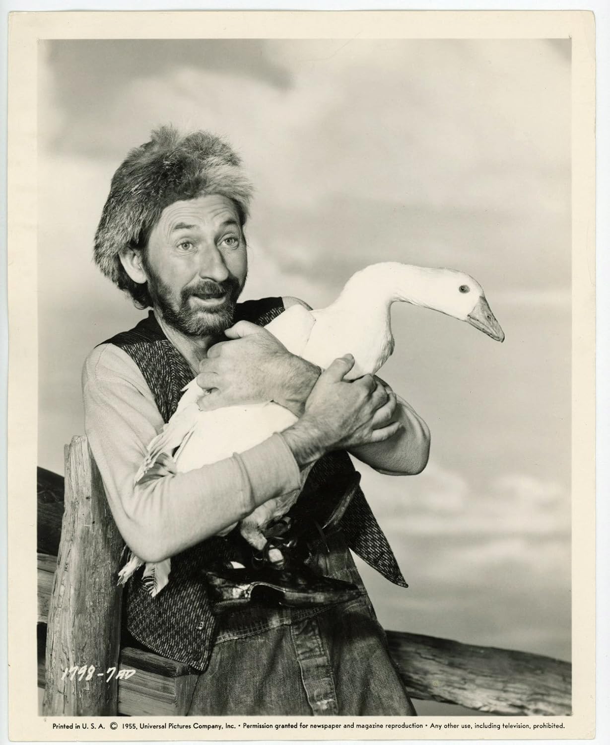 The Kettles In The Ozarks (1956) Original Movie Poster at Amazon's