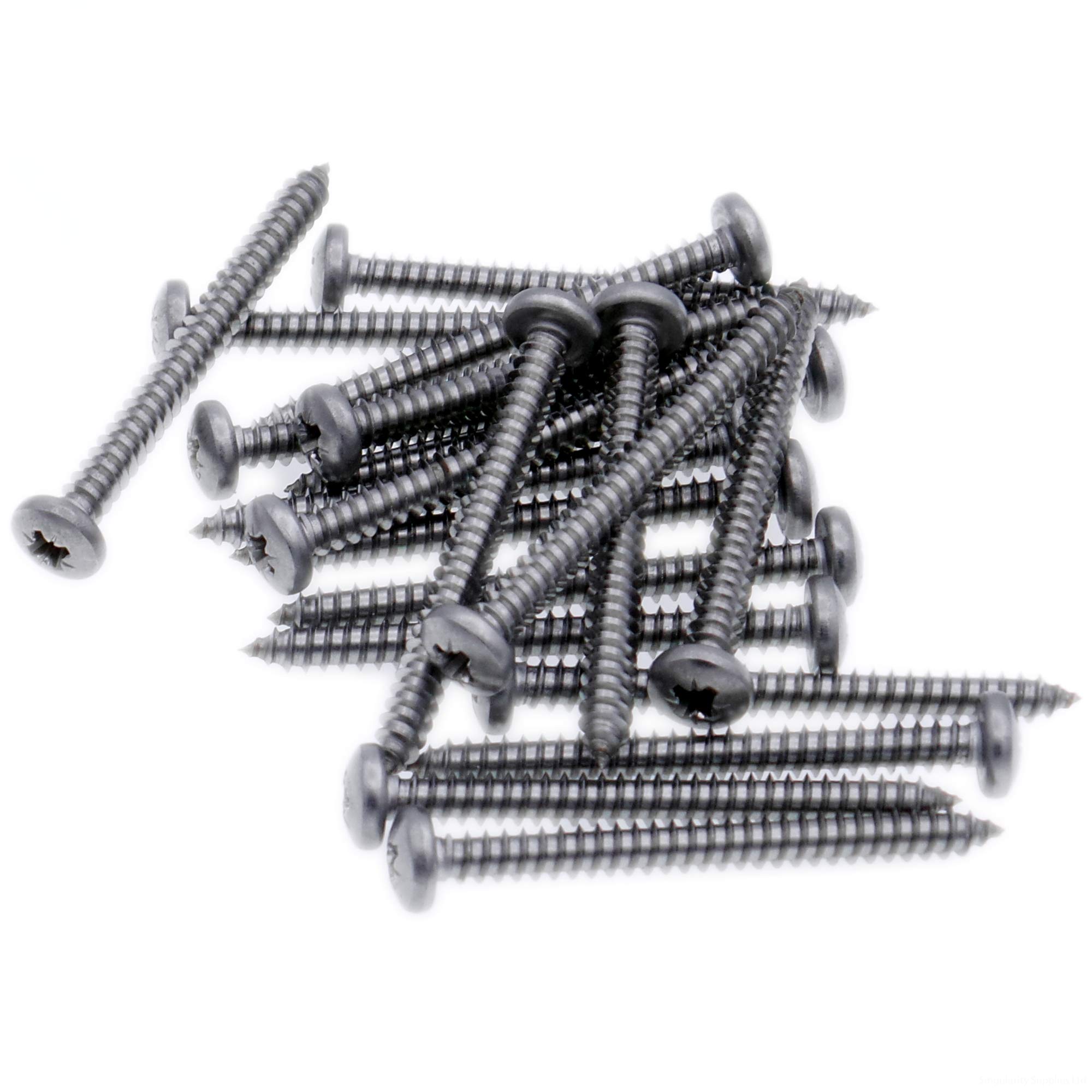 No.8 x 0.75 (4.2mm x 19mm) Pozi Pan Self-Tapping Screw - Stainless Steel (A2) (Pack of 20)