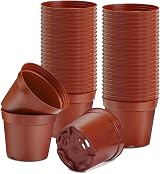 Muzhira Seed Starting Pots 6cm 10pcs Plastic Nursery Pots Seedlings