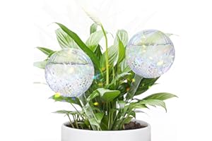 FLORA GUARD Plant Watering Globes, 2-PCS Water Globes for Indoor Plants, RainbowGlass Self Watering Planter Insert, Automatic Plant Waterer Bulbs Devices