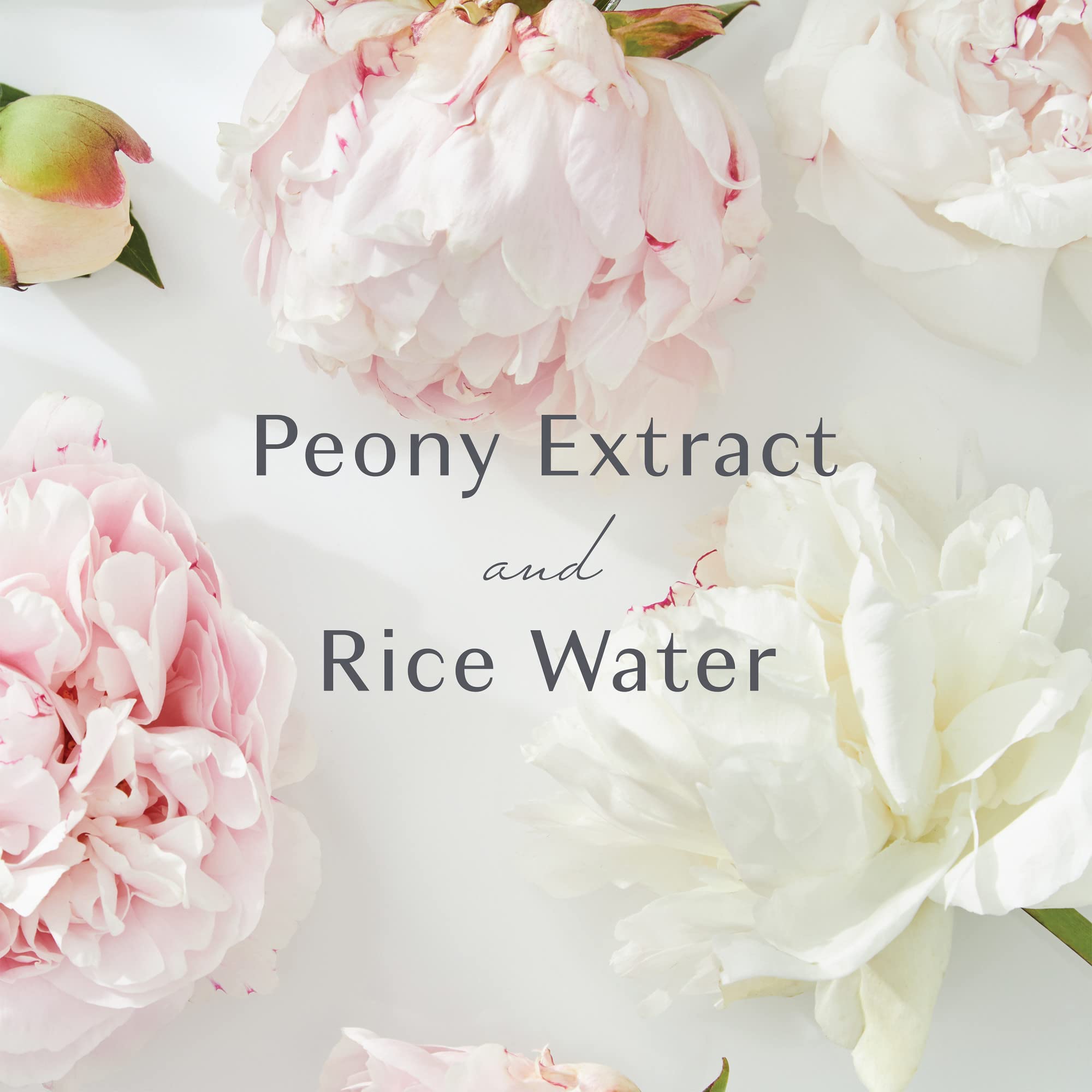 MyKirei by KAO Soothing Peony Milky Lotion, Peony Extract and Rice Water, Sustainable Bottle, with Reusable Decorative Lotion Dispenser 11.5 FL OZ