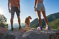 Swiftwick- ASPIRE ZERO Tab (3 Pairs) Running