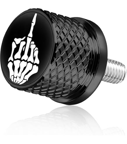 FSFY - 2 Tuercas De Montaje Para Asiento Individual De 1/4"-20 Rosca Para Harley Touring Road King Road Glide Electra Glide Night Train Fat Boy