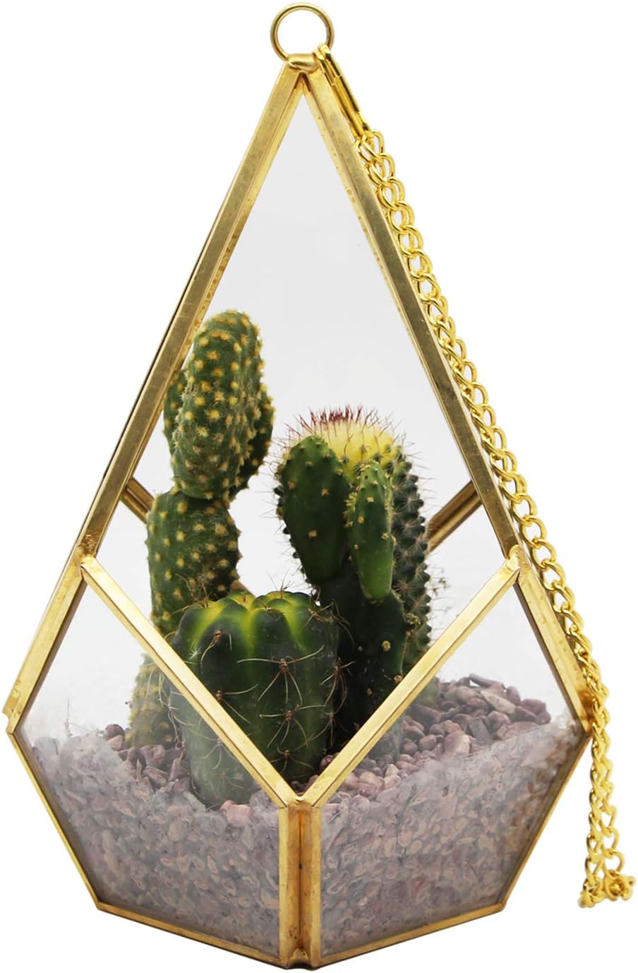 Kimdio Clear Glass Geometric Terrarium Flower Pot Modern Artistic Sill Balcony Tabletop Wedding Decor Centerpiece DIY Display Container for Succulents Fern Moss Air Plants Gift