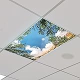 Outus 4 Pcs Fluorescent Light Cover Classroom Light