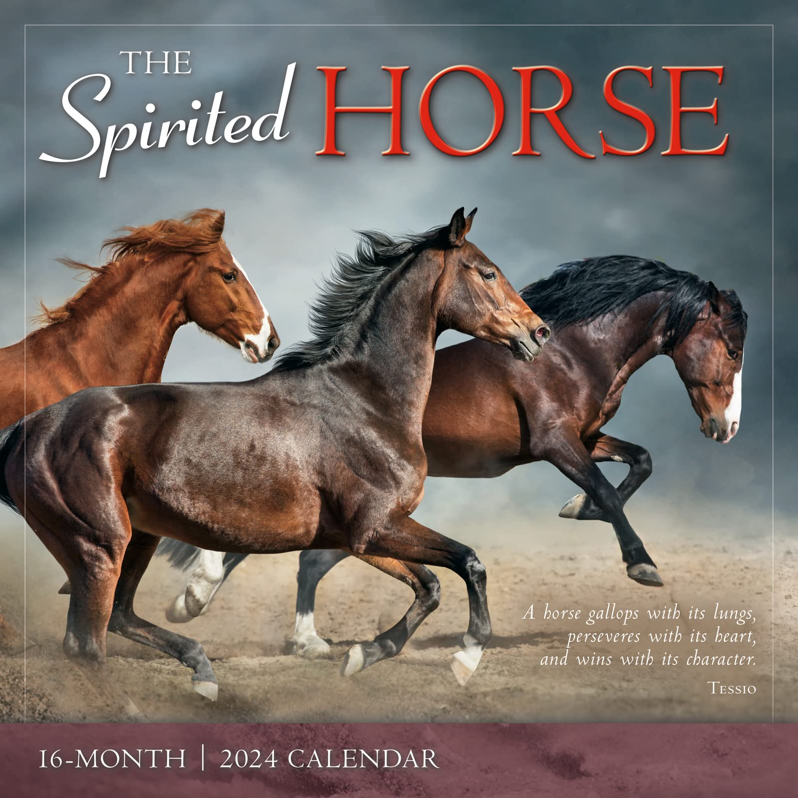 The Spirited Horse 2024 Wall Calendar, 16-Month Animal Calendar, 12" x 12"