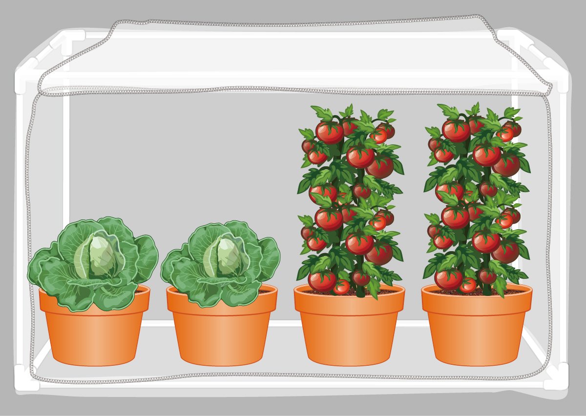 Best Stepped Raised Garden Bed