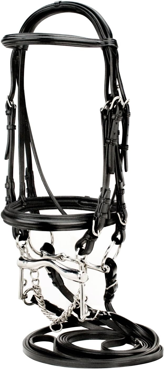 Toklat Silverleaf Raised Padded Double Bridle w/ 2 Pair Plain Reins