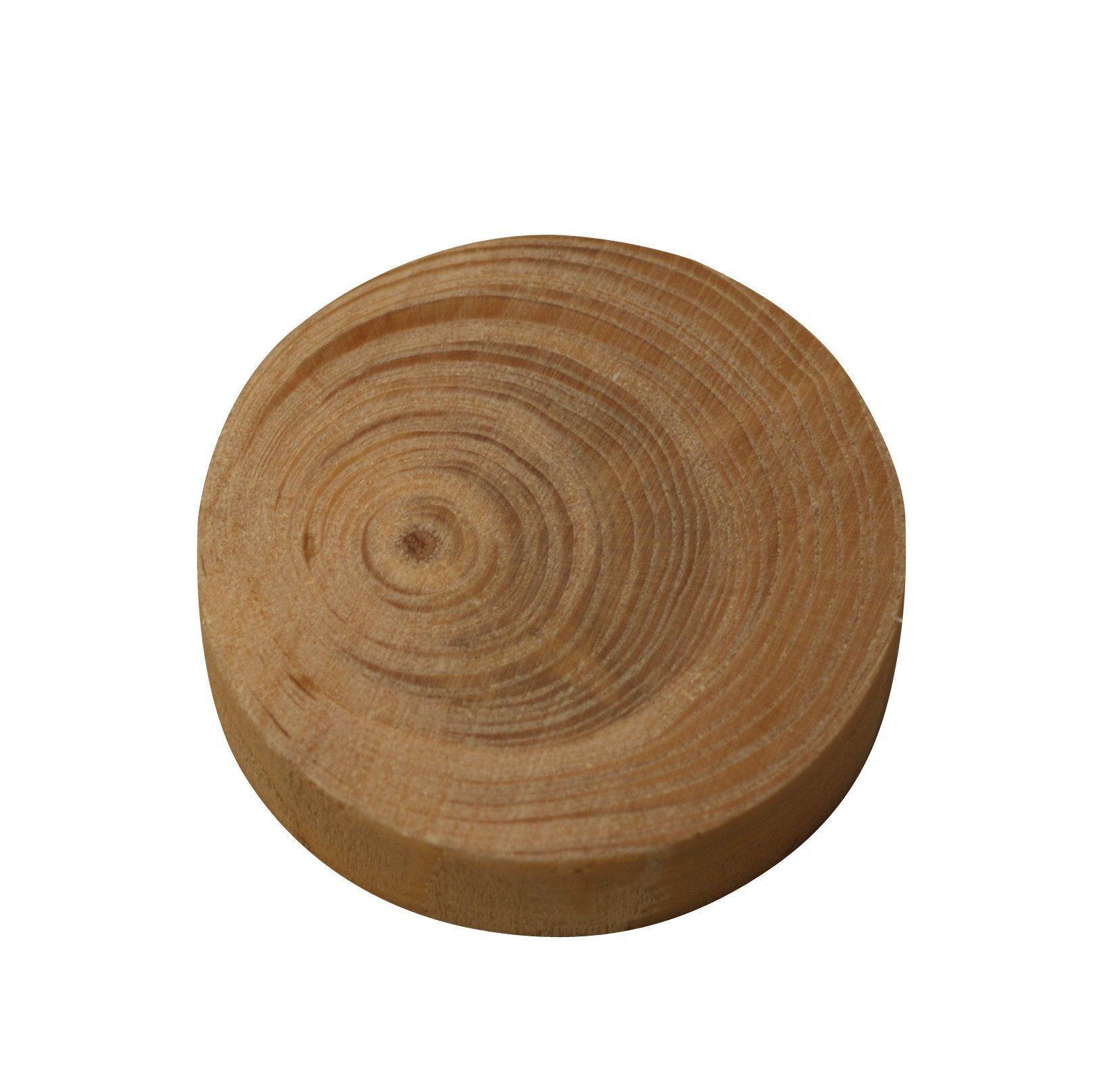 Natural Branches / Branch Dowels 10 x 9 mm