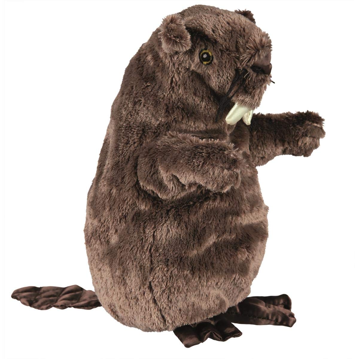 Trixie Animal Sound Plush Beaver Toy, Assorted
