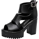 BHDJK Women'S Hollow Out High Top Chunky Heel Roman Sandals Summer Breathable Fish Mouth Pointed Toe Adjustable Ankle Strap Anti-Slip Platform High Heels Sandals