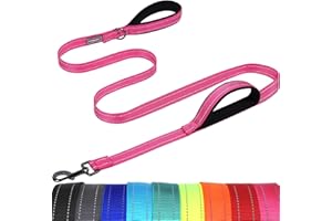 VIVAGLORY Twingrip Dog Leash, Double Handle Dog Leash for Training & Walking with Traffic Handle & 2 Loop, Traffic Control Reflective Heavy Duty for Puppy Pet, 6ft x 1in, Pink