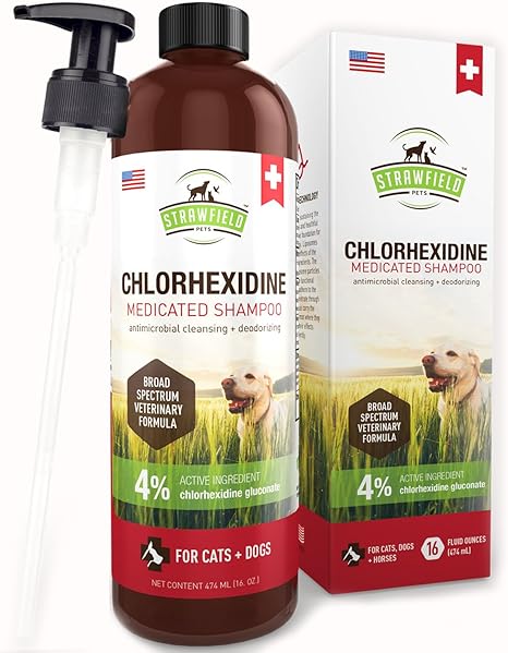 chlorhexidine shampoo for humans