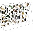 Adjustable Acrylic Display Case Clear Wall Mounted or Desktop 35 Room Storage Cabinet Organizer for Collectibles, Figures, Rock Collection, with Mirrored & Lid…