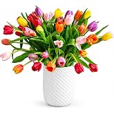 BloomsyBox Rainbow Tulip Bouquet - 50 Stunning, Bright, Multicolored Tulip Stems with Care Card &amp; Flower Food For Your Home Decor - Perfect for Weddings, Anniversaries, Birthdays &amp; Get Well Soon Gifts
