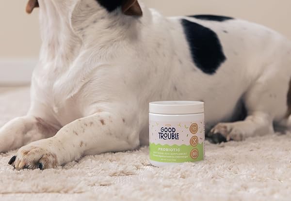 GOOD TROUBLE PETS PROBIOTIC SUPPLEMENT FOR DOGS – CHICKEN FLAVOR, 30 CHEWS – ENHANCED DIGESTIVE SUPPORT