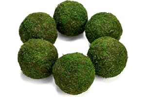 Dycica Moss Balls Preserved All Natural, 3.5"-Set of 6 (Natural Green)