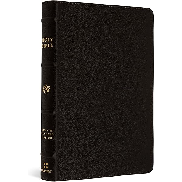 ESV Large Print Compact Bible, Red Letter (Buffalo Leather, Deep