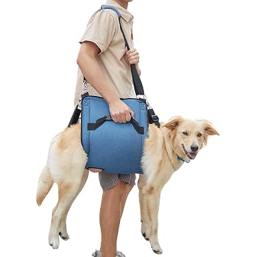 amazon dog hiking backpack Amazon Best Sellers: Best Dog Backpacks