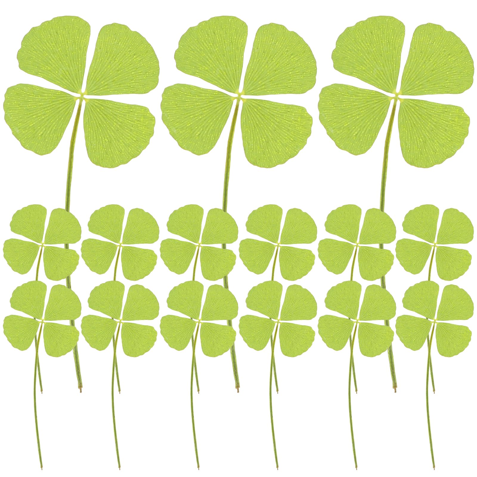 24pcs Real Pressed Dried Flower Leaves Pressed Dried Four- Leaf Clover for DIY Resin Crafts Jewelry Making Art Decorations