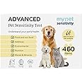 My Pet Sensitivity Advanced Test - at-Home Pet Test | 460 Items | Quick Results | Non-Invasive Hair Collection | Comprehensive Food, Environment, Nutrient & Mineral Analysis | All Breeds & Ages
