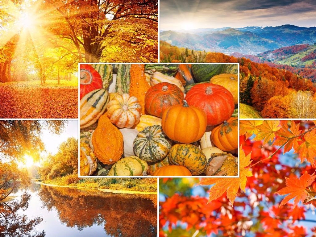 Autumn landscapes (set 6): Set of 50 Edition Colibri Postcards (5 motifs x 10 Items) for postcrossing and frequent writers (10695-99)