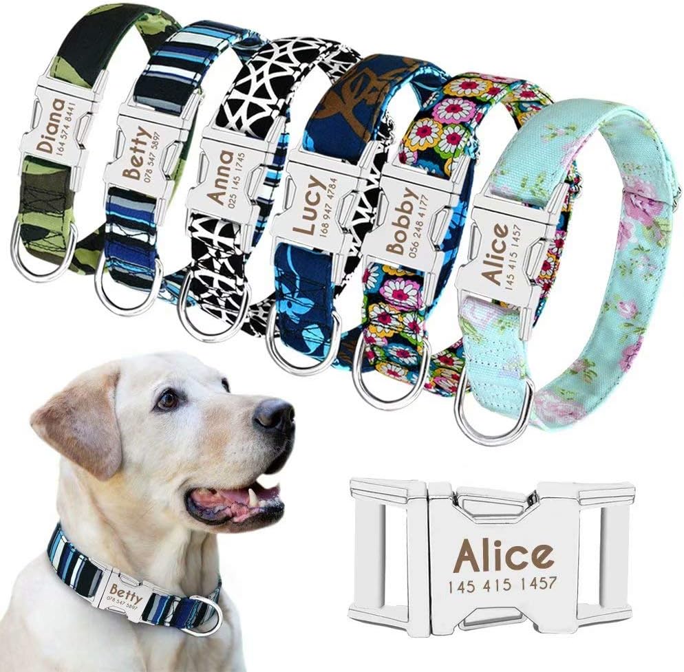 Beirui Personalized Dog Collar with Name Plate - Fashion Patterns Custom Dog Collar with Quick Release Buckle - Fits Medium Large Dogs,Mint Green Floral,S(Width 5/8",Neck 10-15.5")