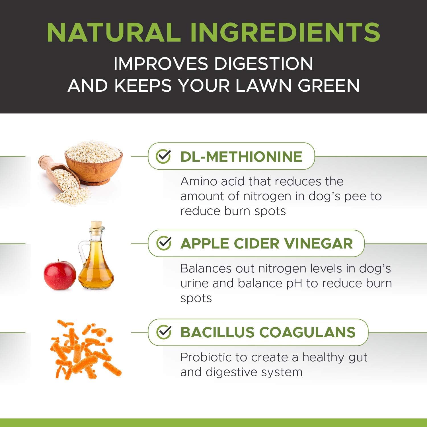 PetHonesty GrassGreen Grass Burn Spot Chews for Dogs - Dog Pee Lawn Spot Saver Treatment Caused by Dog Urine - Cranberry, Apple Cider Vinegar, DL-Methionine Grass Treatment Rocks - 90 Chew Treats : Pet Supplies