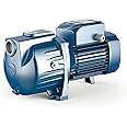 Pedrollo SKRm2 Single Phase 220V 60Hz Self-Priming Centrifugal Pump 2HP Head up to 116 ft. Flow up to 106 GPM (1.12 x 1.12)Inch