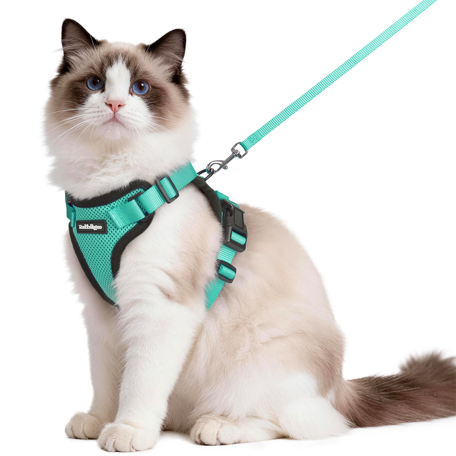 rabbitgoo Cat Harness and Lead Set, Adjustable Escape Proof Cat Lead for Walking, Reflective Kitten Harness Set, Soft and Comfortable for Medium to Large Cats, Green, M