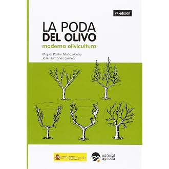 Amazon.es Los más vendidos: Los productos más populares en ...